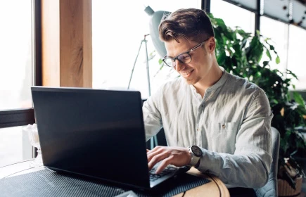 Low-code Platforms: Employers and Users Like Them [Publication]